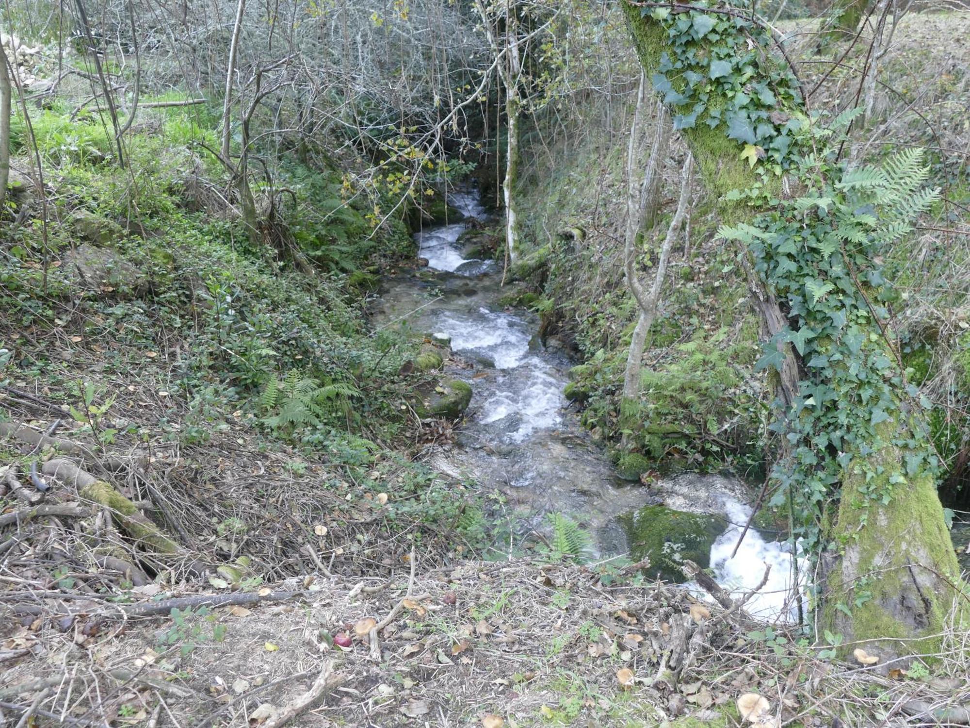 Casita A Estrenar En Finca Con Rio Proxima A Tui, Gondomar Y Portugal. Exterior photo